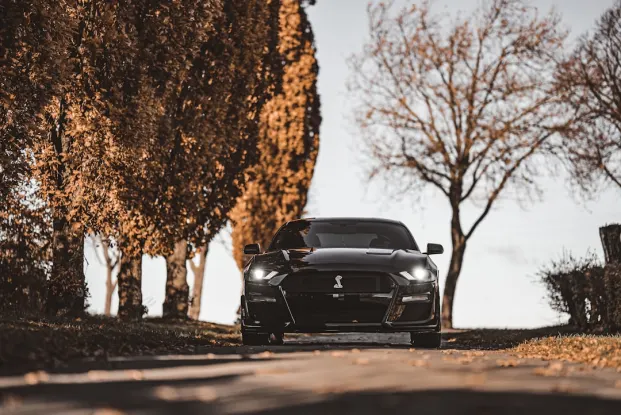 HippoZino Casino Android/iOS aplikacija